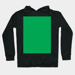 Pretty Simple Solid Green Hoodie